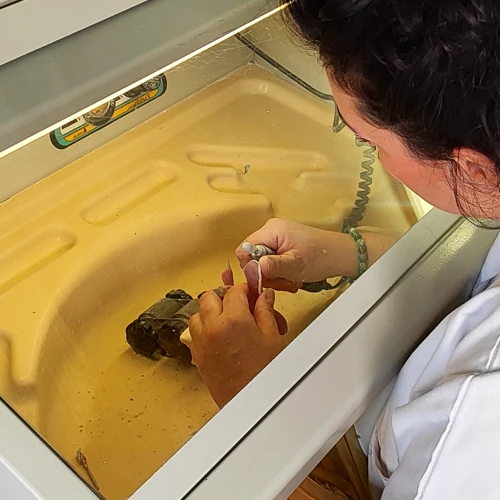 Réparation d'une prothèse dentaire